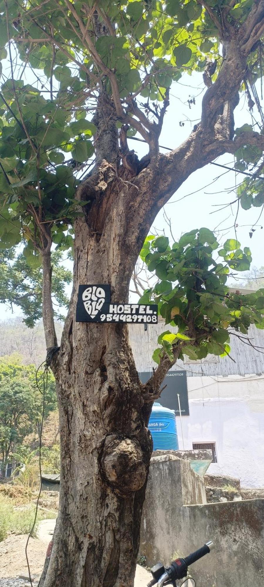 Hostel Blabla House Rishīkesh Zewnętrze zdjęcie